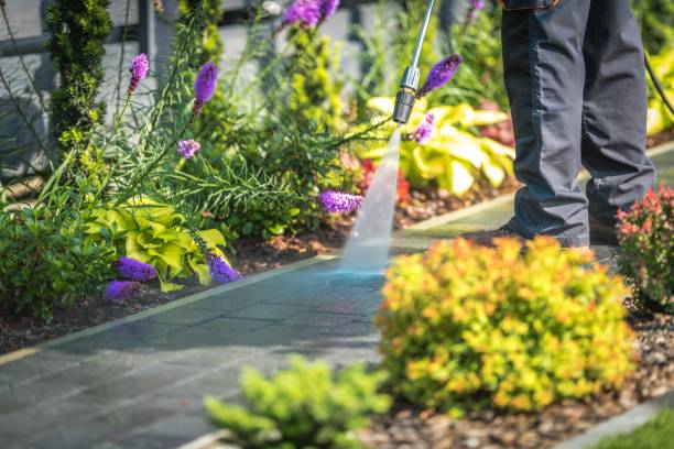 Best Driveway Pressure Washing  in West Alexandria, OH